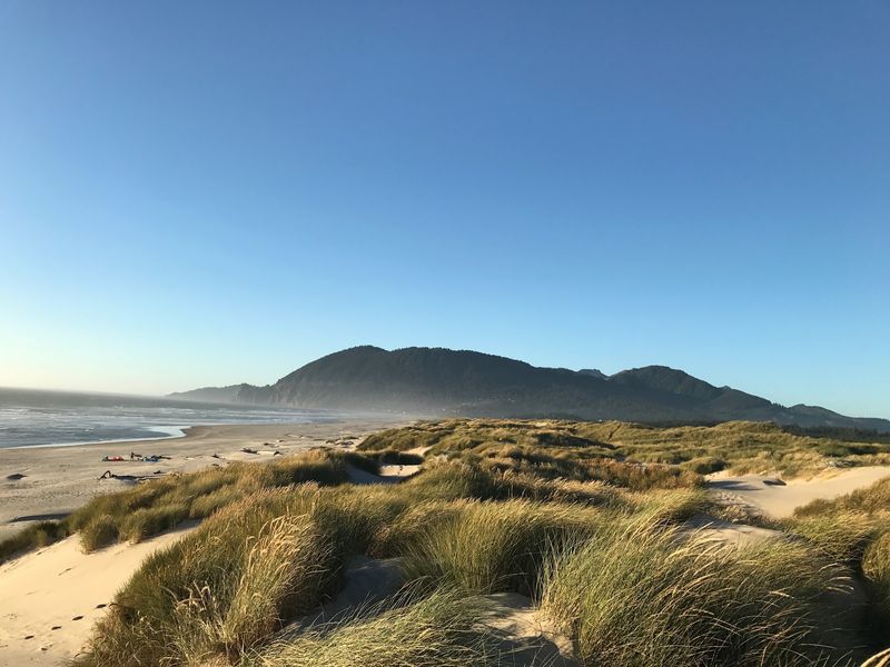 Nehalem Bay State Park Right Next Door