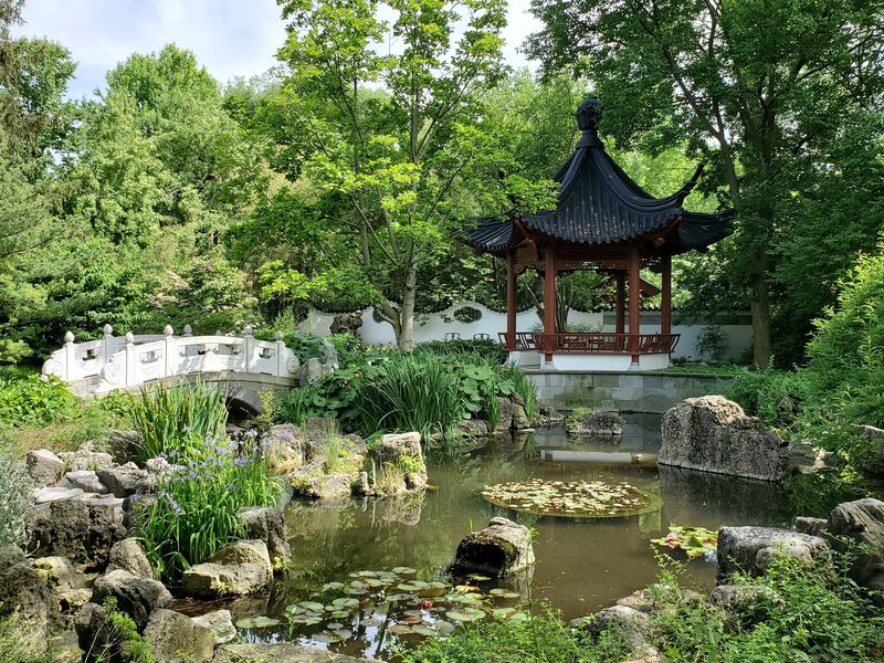 Hungry Koi And A Chinese Garden Worth The Detour