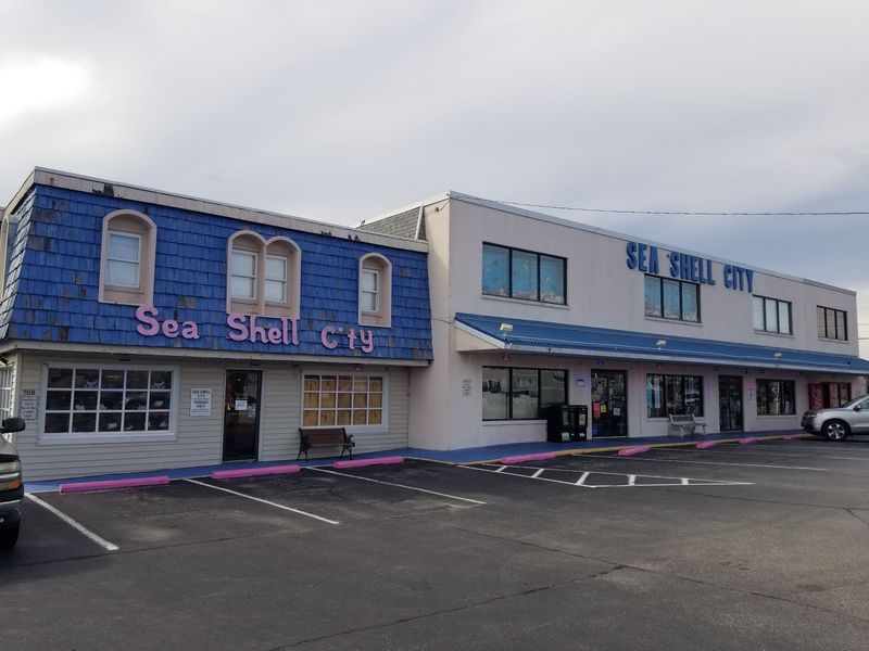 A Treasure Museum Hiding Above a Seashell Shop