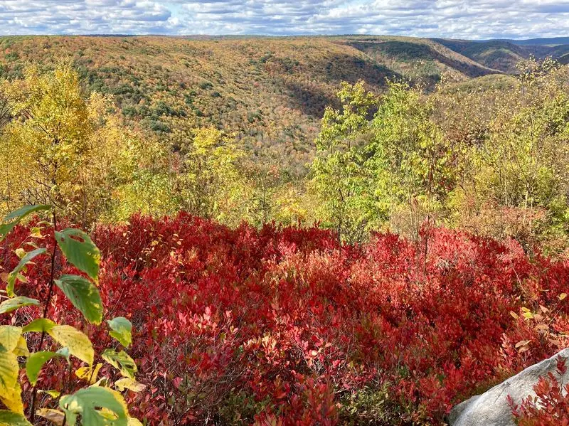 Find Big Views on Black Forest Trail