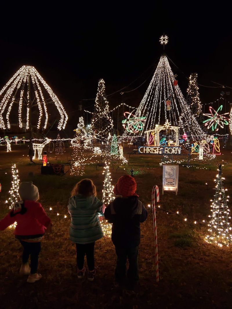 Walk Right Through A Giant Glowing Tree