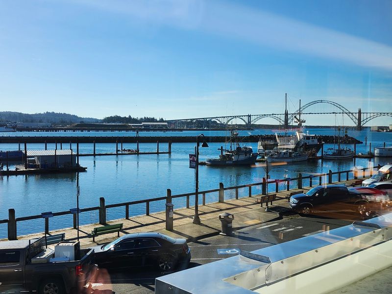 Sea Lions, Fishing Boats, And A Boardwalk Right Across The Street