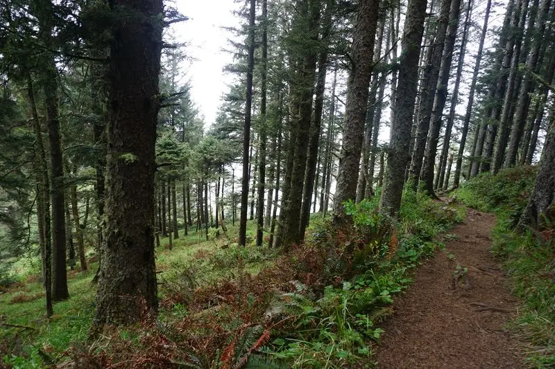 Pick The Left Trail And Your Calves Will Thank You