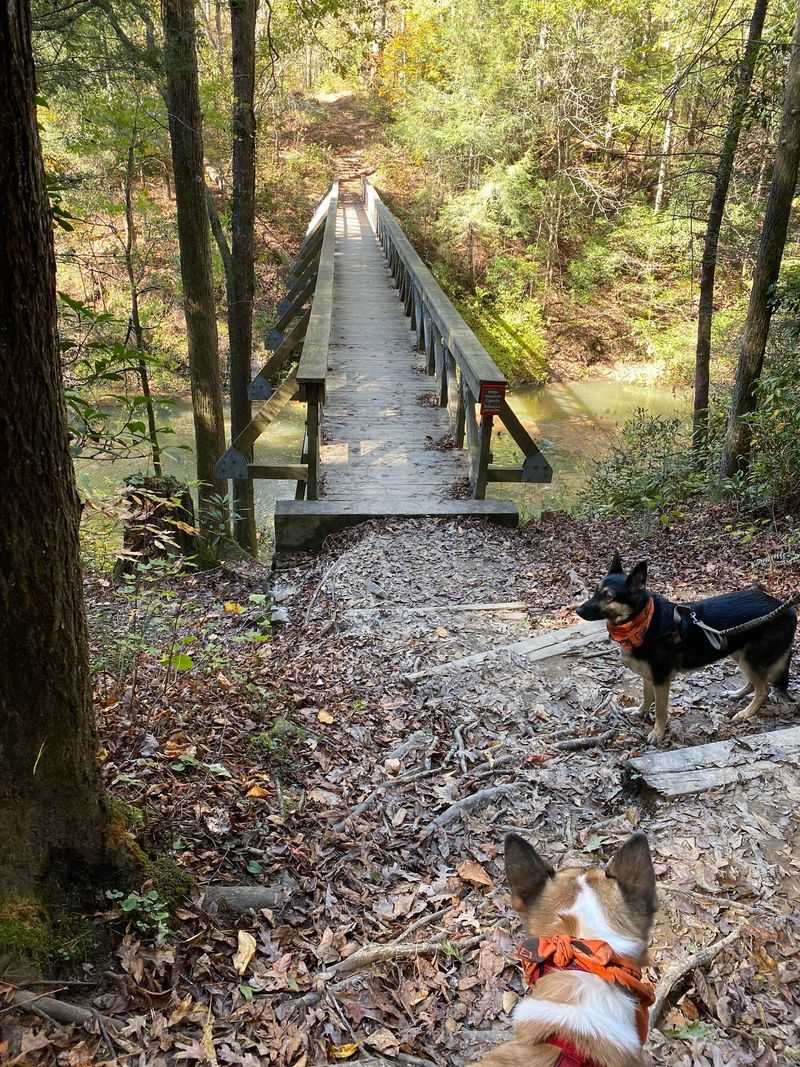 Carters Lake Steals The Spotlight Whenever It Gets The Chance