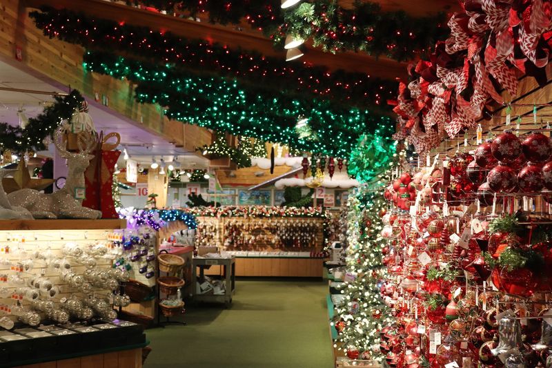 Over 300 Trees, And Each One Hides A Little Secret