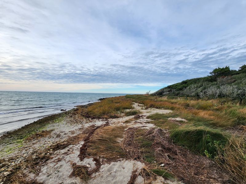 Herons, Butterflies, and Plenty of Tiny Neighbors Live Here
